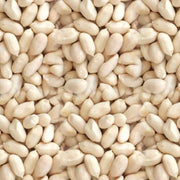 Raw Blanched Peanuts Bulk - 55 Lbs