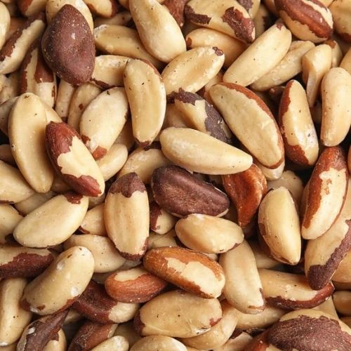 Raw Brazil Nuts - 44 Lbs