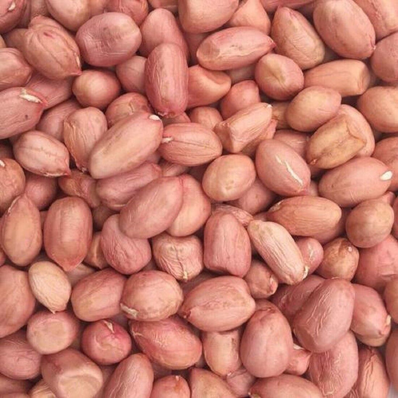 Raw Red Skin Peanuts Bulk - 55 Lbs