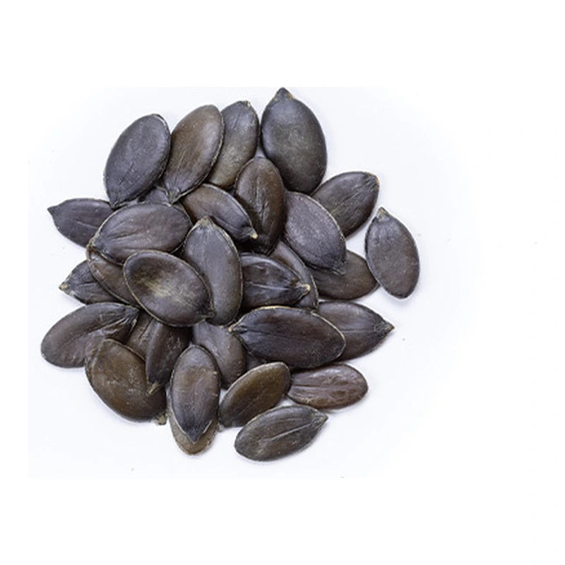 Raw Styrian Pumpkin Seeds Bulk - 50 Lbs