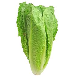 Romaine Heart Lettuce - Per Pack