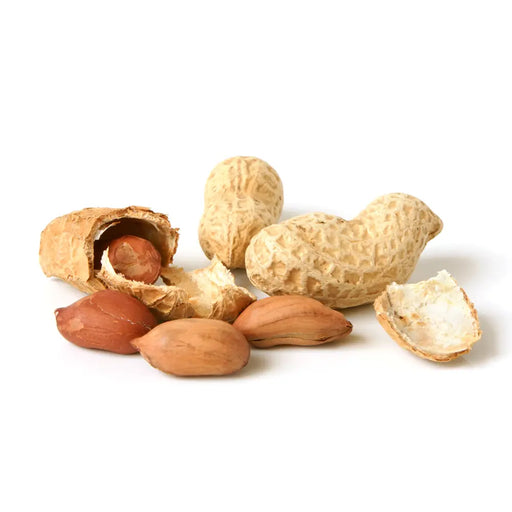 Salted Peanuts in shell