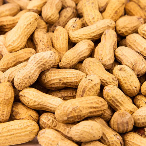 Unsalted Peanuts in shell