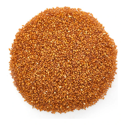 Teff Seeds Bulk - 55.12 Lbs