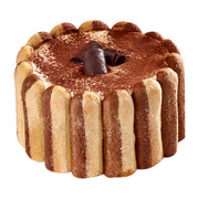 Tiramisu Cake
Award-winning tiramisu with Elite Sweets signature mascarpone cheese mousse, espresso infused ladyfinger cookies and a dusting of cocoa powder.

100% Canadian Dairy Logo Kosher Dairy Certified
Size
6" Cake (Serves 6-8 guests)
ALLERGEN INFO
Contains: Egg, Milk, Soy, Wheat
May contain: Peanuts, Tree Nuts, Sulphites