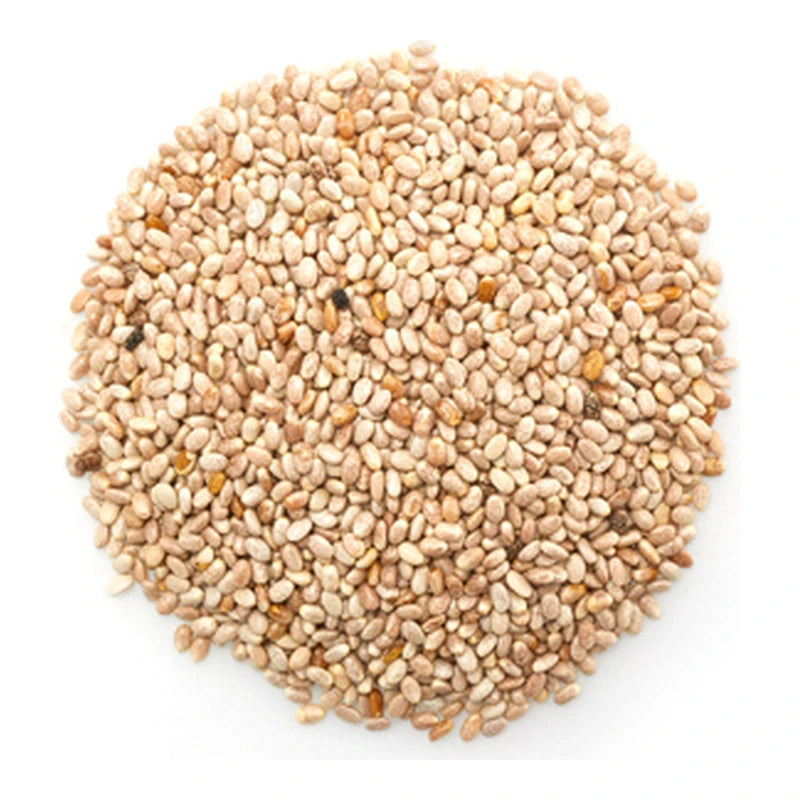 White Chia Seeds Bulk - 55.12 Lbs