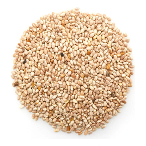 White Chia Seeds Bulk - 55.12 Lbs