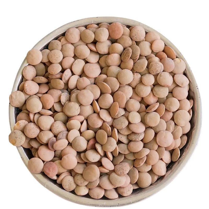 Clic - Whole Brown Lentils - Masoor Whole - 55 Lbs