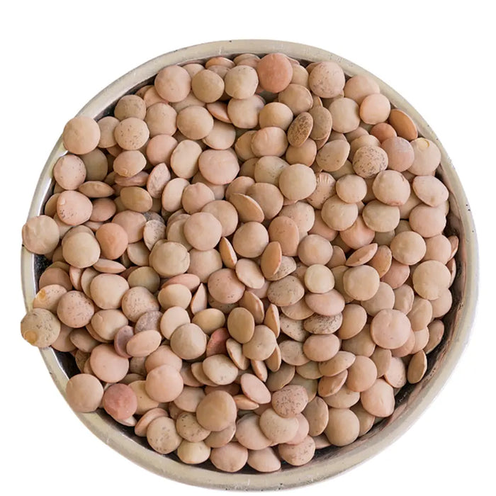 Clic - Whole Brown Lentils - Masoor Whole - 50 Lbs