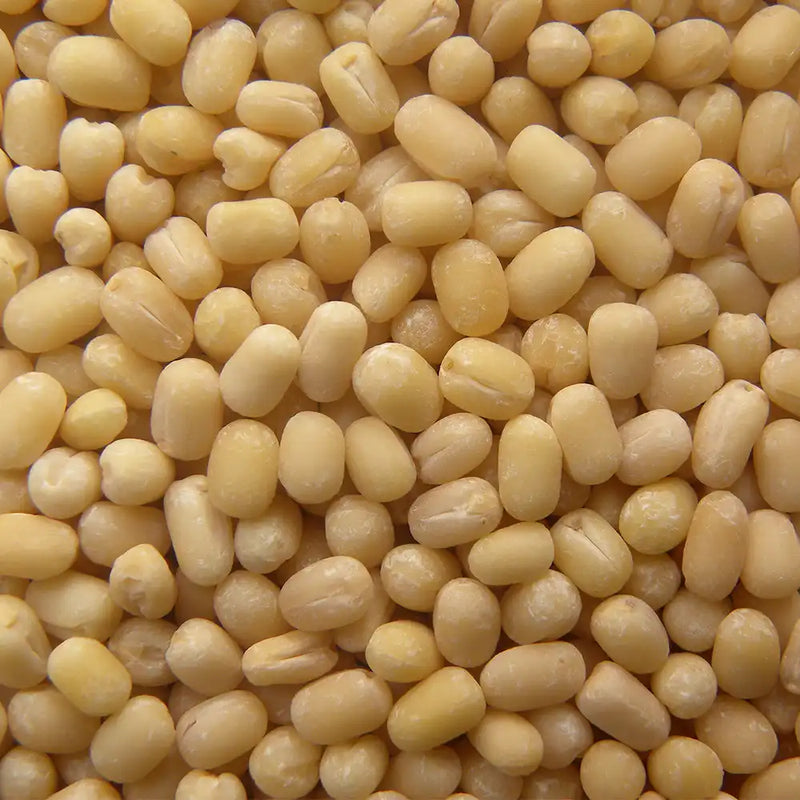 Whole Urad Dal Whole White Lentil