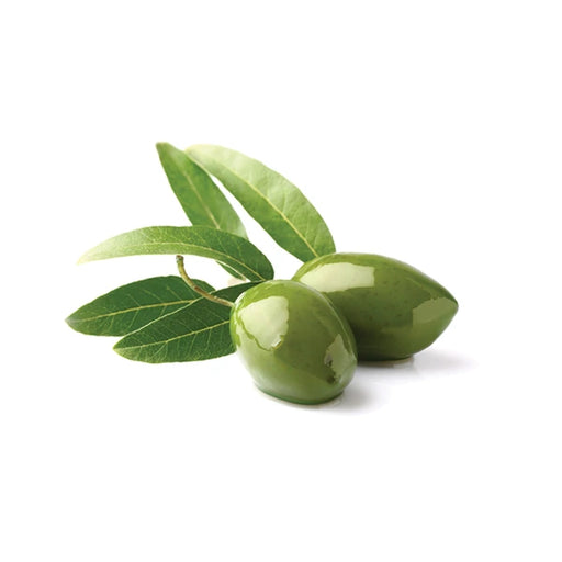 Whole Green Olives with Pits Bulk - 26.45 Lbs