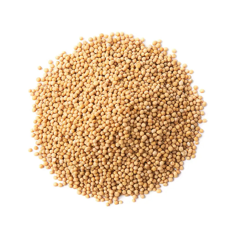 Yellow Mustard Seeds Whole 