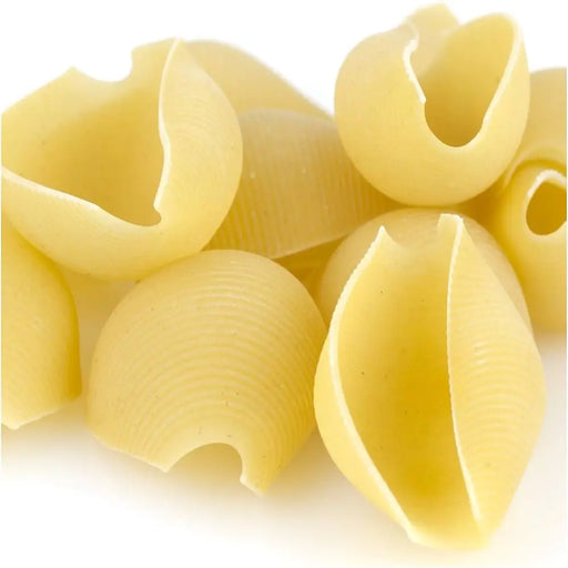 Large Shells pasta