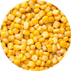 Alasko - Grains de Maïs Grade A - 16003 - 2 Kg