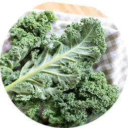 Alasko - Chopped Kale 02400 - 5 x 1 Kg