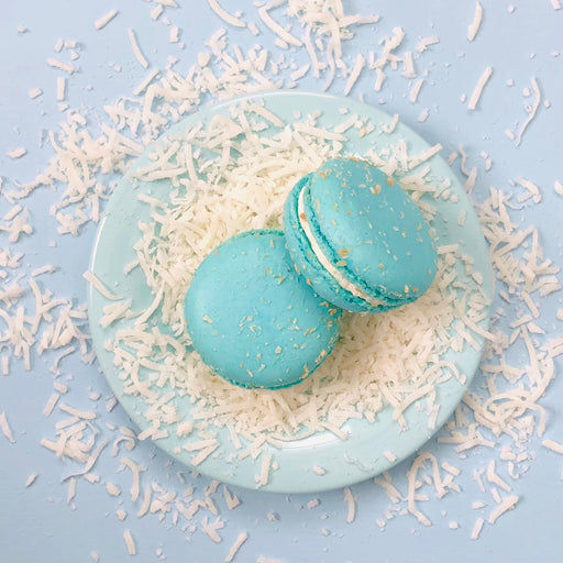 AGM - Macarons Toasted Coconut - 24 Ct - Bulk Mart