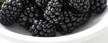 Alasko - Blackberries 00226 - 5 x 1 Kg - Bulk Mart