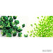 Alasko - Broccoli Florets 00712 - 2 Kg - Bulk Mart