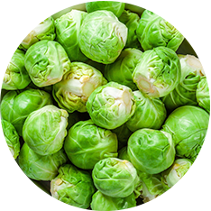 Alasko - Brussels Sprouts 00164 - 6 x 2 Kg - Bulk Mart