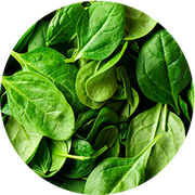 Alasko - Chopped Spinach 183 - 2 Lbs - Bulk Mart
