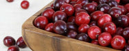 Alasko - Cranberries Whole 00192 - 1 Kg - Bulk Mart