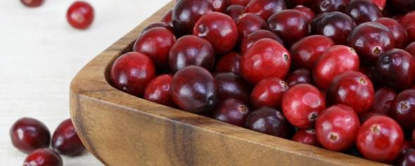 Alasko - Cranberries Whole 00192 - 5 x 1 Kg - Bulk Mart