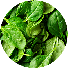 Alasko - Frozen Chopped Spinach - 1 Kg - Bulk Mart