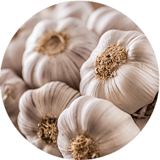 Alasko - Minced Garlic 801421 - 5 x 1 Kg - Bulk Mart