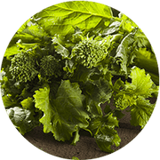 Alasko - Rapini Cut 001760 - 5 x 1 Kg - Bulk Mart