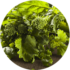 Alasko - Rapini Cut 001760 - 5 x 1 Kg - Bulk Mart