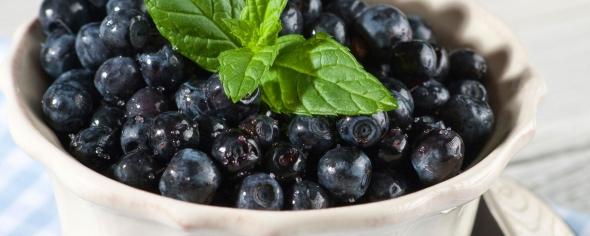 Alasko - Wild Blueberries 00202 - 5 x 1 Kg - Bulk Mart
