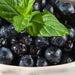 Alasko - Wild Blueberries 00202 - 5 x 1 Kg - Bulk Mart