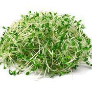 Alfalfa Sprouts Per Pack - 120 g - Bulk Mart
