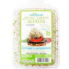 Alfalfa Sprouts Per Pack - 120 g - Bulk Mart