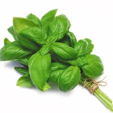 Basil Green Bunch - 12 / Pack - Bulk Mart