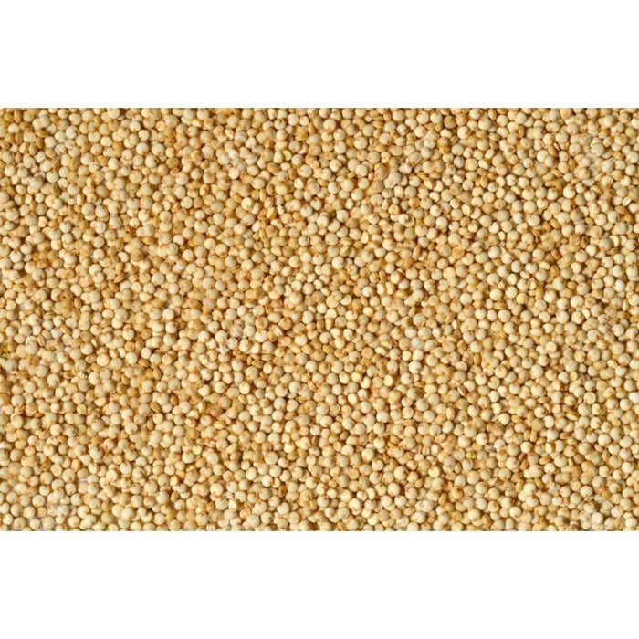 BM - White Quinoa Seeds - 5 Kg - Bulk Mart
