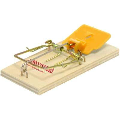 Catchmaster - Wooden Mouse Trap - 4 / Pack - Bulk Mart