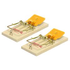 Catchmaster - Wooden Mouse Trap - 4 / Pack - Bulk Mart