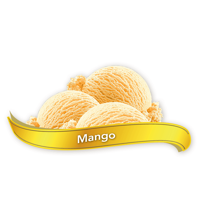 Chapman's - Mango Ice Cream - 11.40 L - Bulk Mart