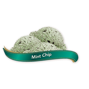Chapman's - Mint Chip Ice Cream - 11.40 L - Bulk Mart