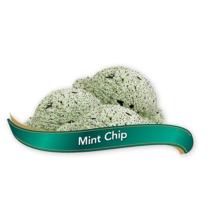 Chapman's - Mint Chip Ice Cream - 11.40 L - Bulk Mart