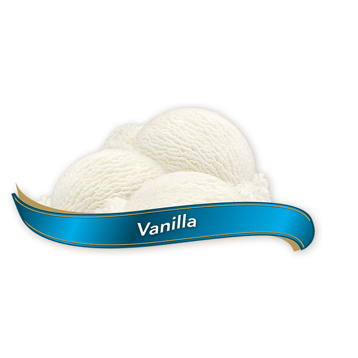 Chapman's - Vanilla Ice Cream - 11.40 L - Bulk Mart