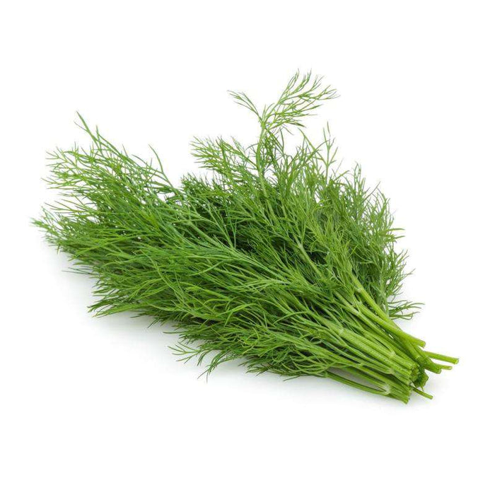 Dill Fresh / Pack - Bulk Mart