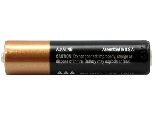 Duracell - 1.5 V CopperTop Alkaline AAA Batteries - 4 / Pack - Bulk Mart