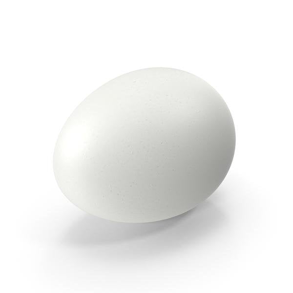 Gray Ridge - Large Eggs Cartons - 1 Dozen - Bulk Mart