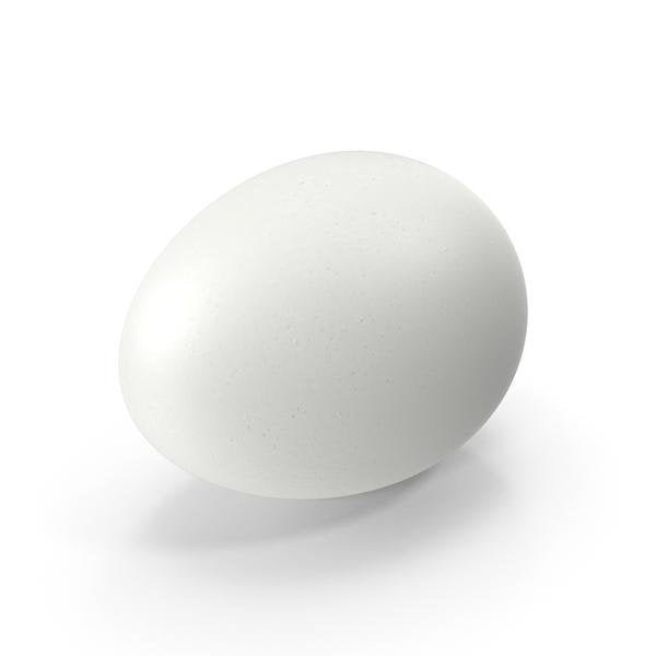 Gray Ridge - Large Eggs Cartons - 1 Dozen - Bulk Mart