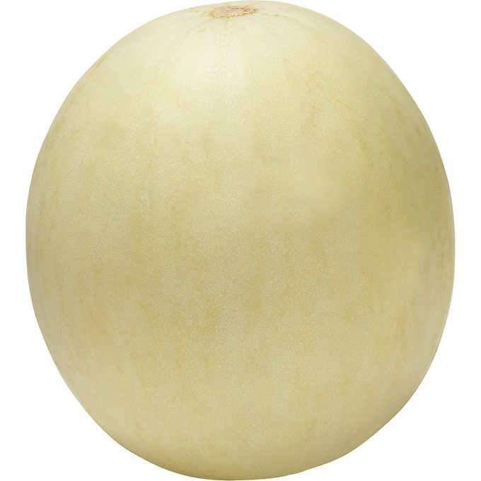 Honey Dew - Jumbo - Per Case - Bulk Mart