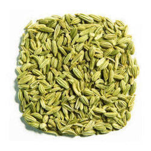 King Of Spice - Fennel Seed Whole - 454 g - Bulk Mart