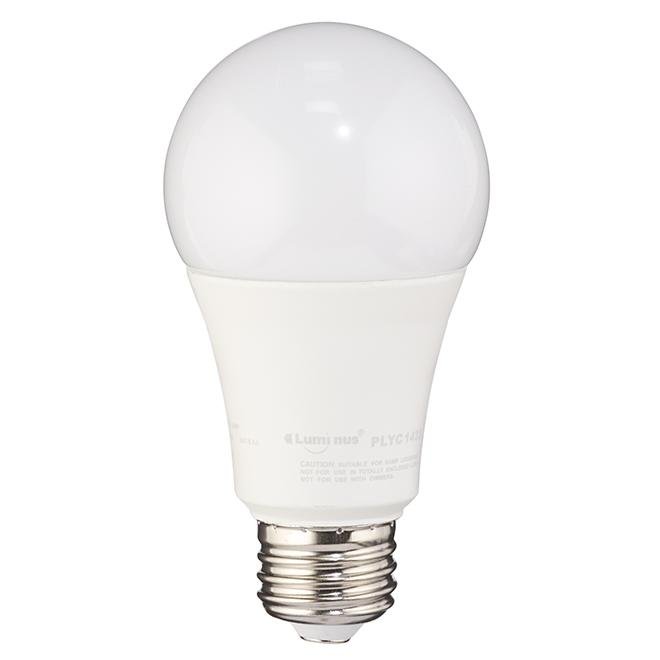 Daylight LED Bulb Non-Dimmable 6W E26 Base Efficient Lighting — Bulk Mart