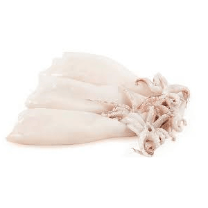 Ocean Prime - Squid Tubes & Tentacles - 2.5 Lbs - Bulk Mart